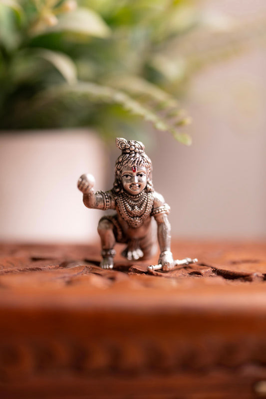 Laddu Gopal Idol