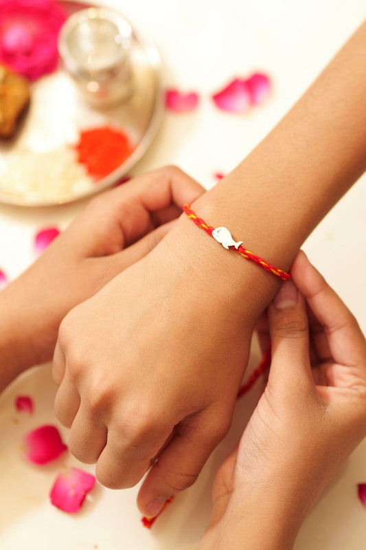 Little Shark Rakhi