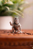 Laddu Gopal Idol